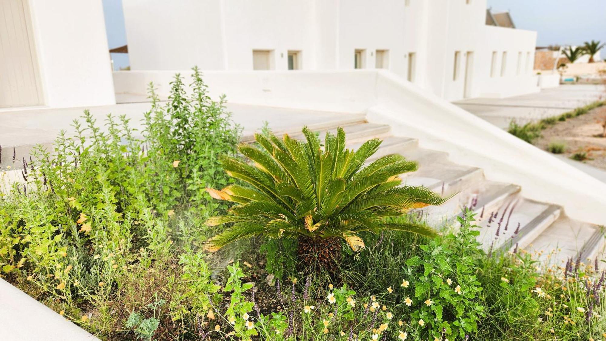 Emporio  Hayal Suites Santorini מראה חיצוני תמונה